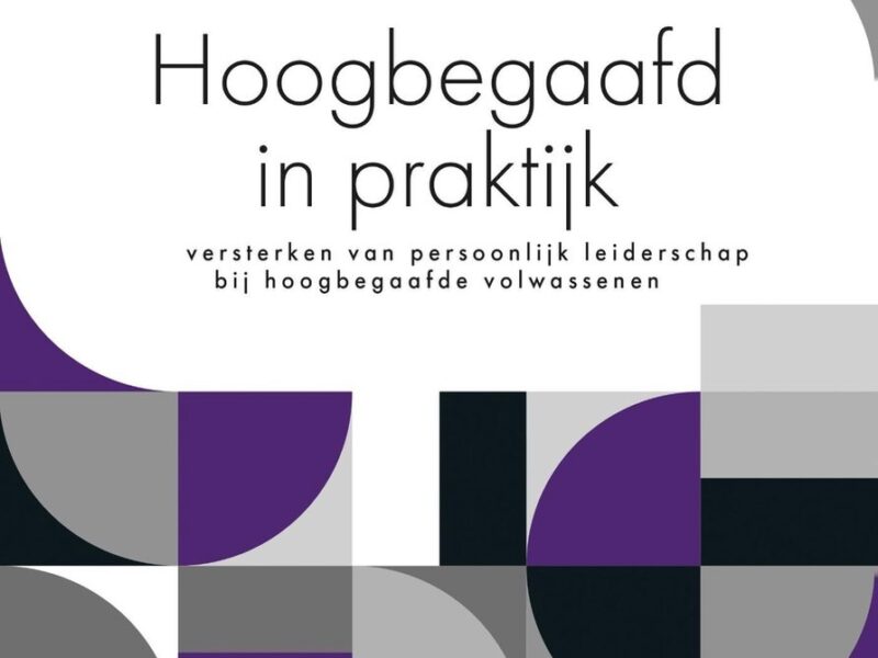 Hoogbegaafd in de praktijk